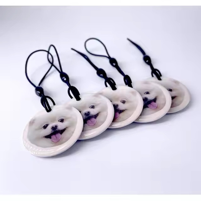 주문 커스터마이징 가능한 인쇄 가능한 RFID 태그 수동 에포시 NFC 태그 기상 유연성 online manufacture